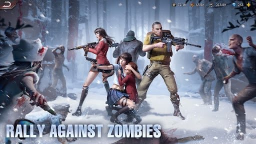 Puzzles &amp; Survival