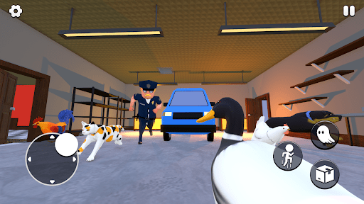 Where is He: Hide and Seek